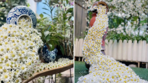 cắm suối hoa cúc họa mi