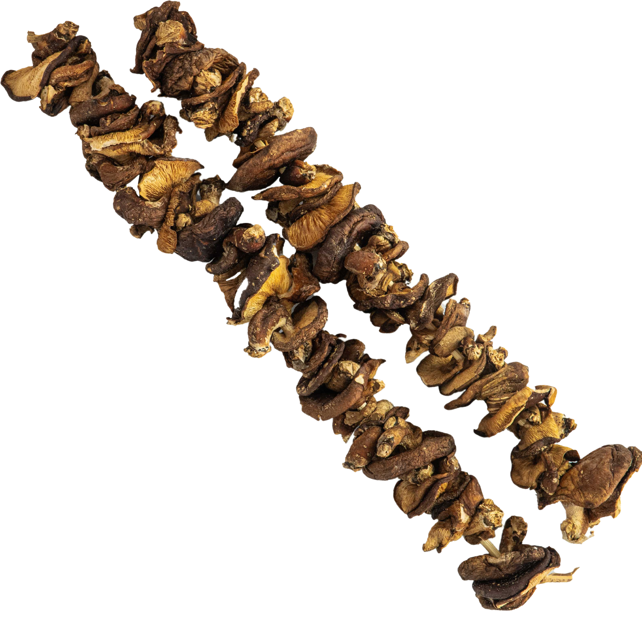 Đặc sản Nấm Hương rừng Tây Bắc